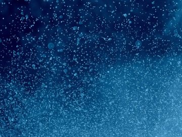 家庭影院客厅场景中一台65英寸4K OLED电视正在播放超高清自然纪录片，画面色彩鲜艳对比度极高，温馨家居环境